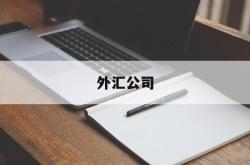 外汇公司(外汇公司风险控制)