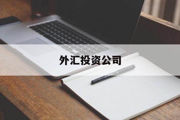 外汇投资公司(外汇投资公司业务主要内容)