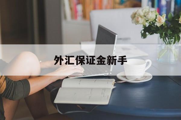 外汇保证金新手(外汇保证金交易是否合法知乎)